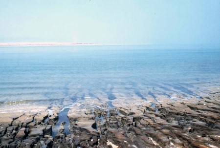 100.jpg