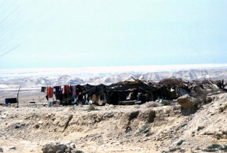 103.jpg