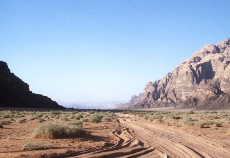 57.jpg