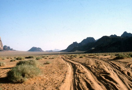 58.jpg