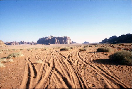 59.jpg