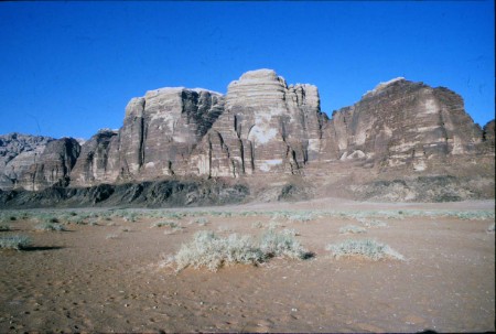 63.jpg