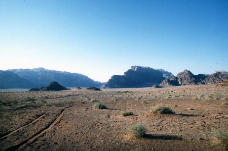 65.jpg