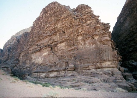 77.jpg