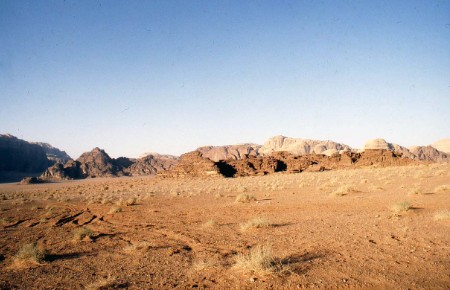 79.jpg