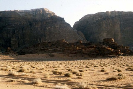 81.jpg