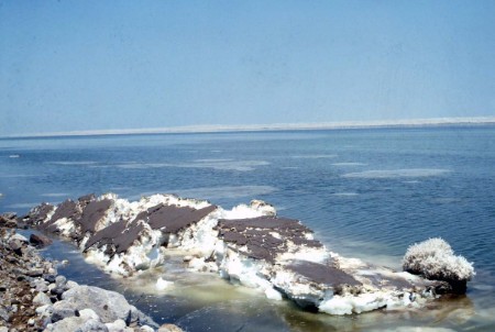 94.jpg