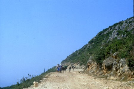 Gesti arcaici di un territorio ancora molto arretrato