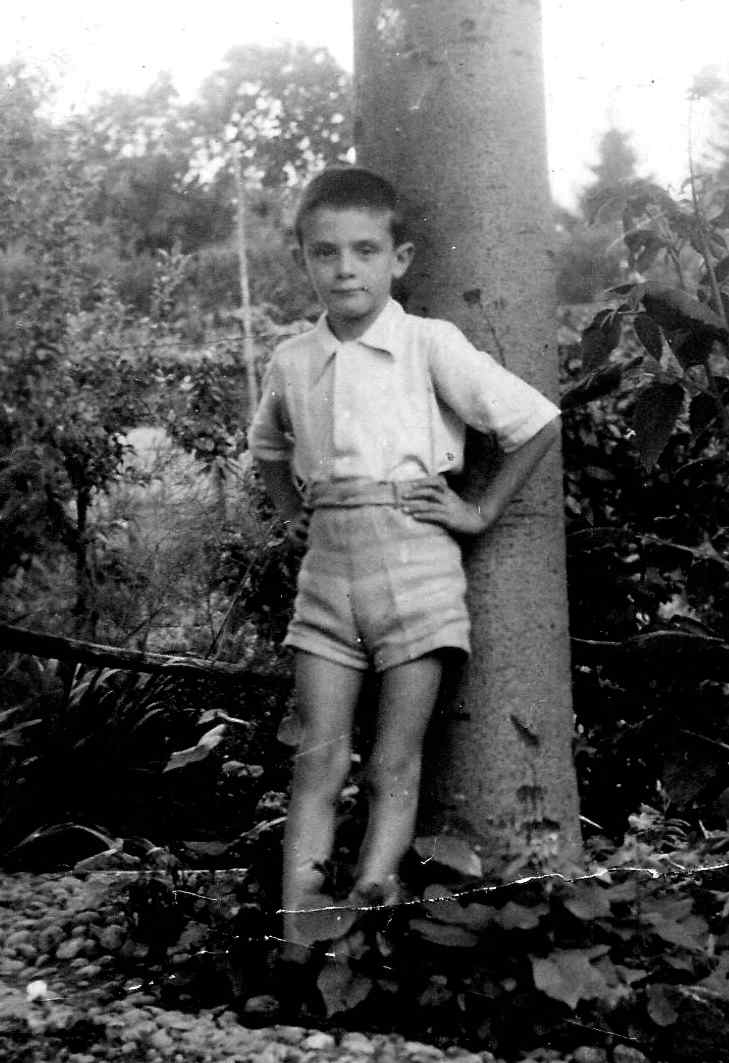 Sette anni
